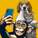 Trivia Quiz: Cat, Dog, Monkey