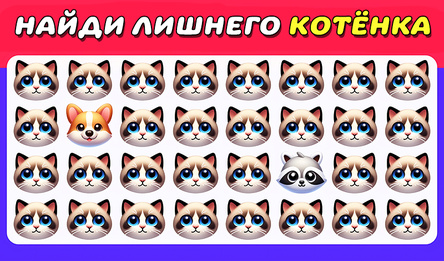 Найди Лишнего Котёнка