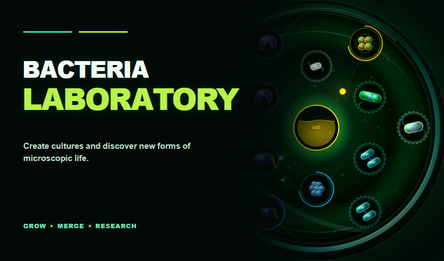 Bacteria Laboratory