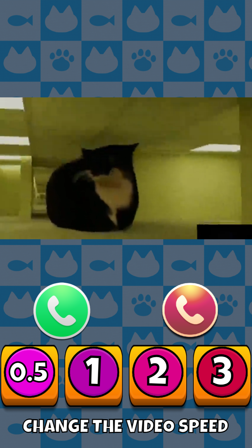 Meme cats: Tamagochi screenshot 9