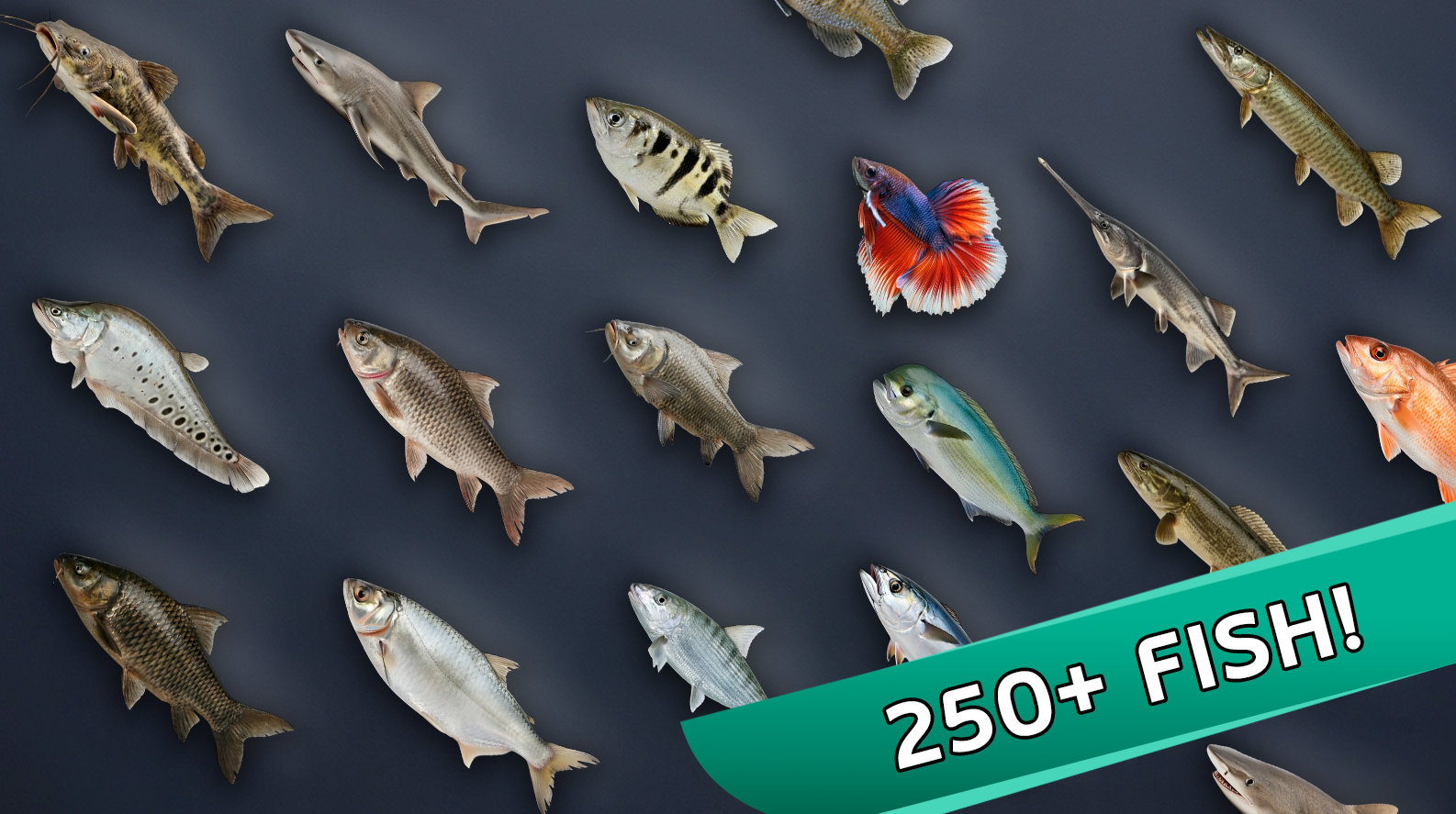 Fishing Place — screenshot 2