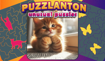 Puzzlanton: unusual puzzles