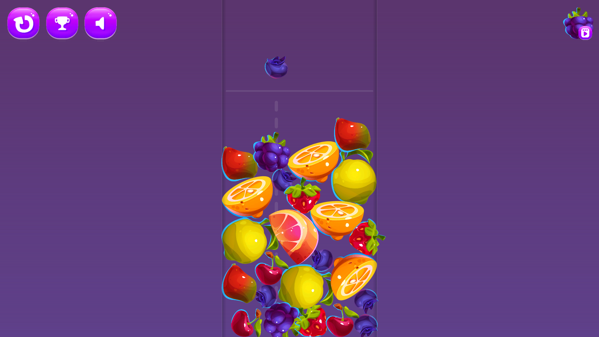 Merge the fruits to reach the watermelon screenshot