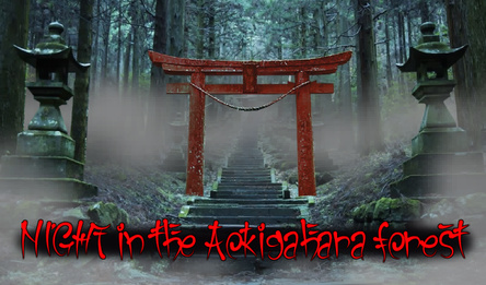 NIGHT in the Aokigahara forest