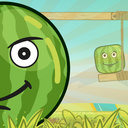 Baby Watermelon