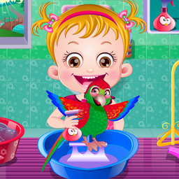 Baby Hazel Parrot Care
