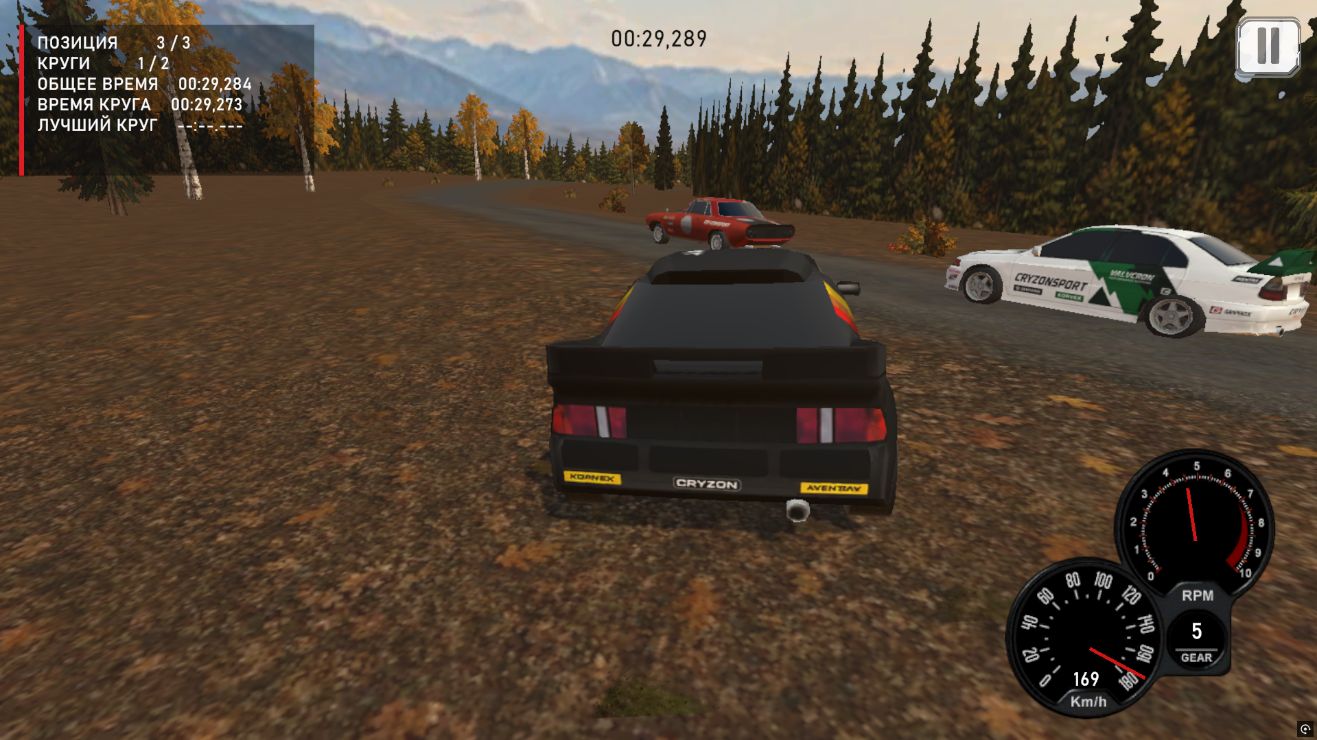 Cryzonsport Rally — screenshot 6