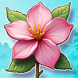 Sakura Branch