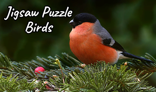 Jigsaw Puzzle Birds