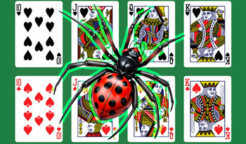 Spider: Eight Lines