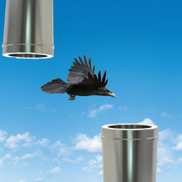 Flappy Crow Realistic