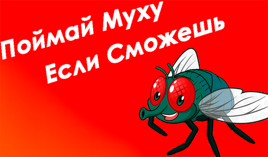 Поймай Муху Если Сможешь (by nikiKing): Play Online For Free On Playhop