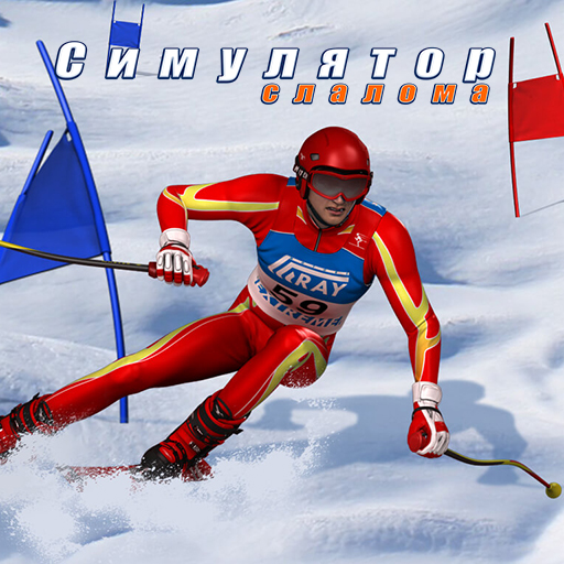 Slalom Simulator icon