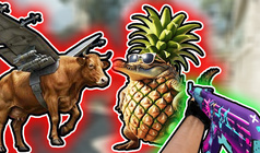 Portal: Steal Neuro Animals