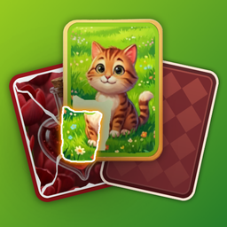 Puzzle Solitaire Picture Match