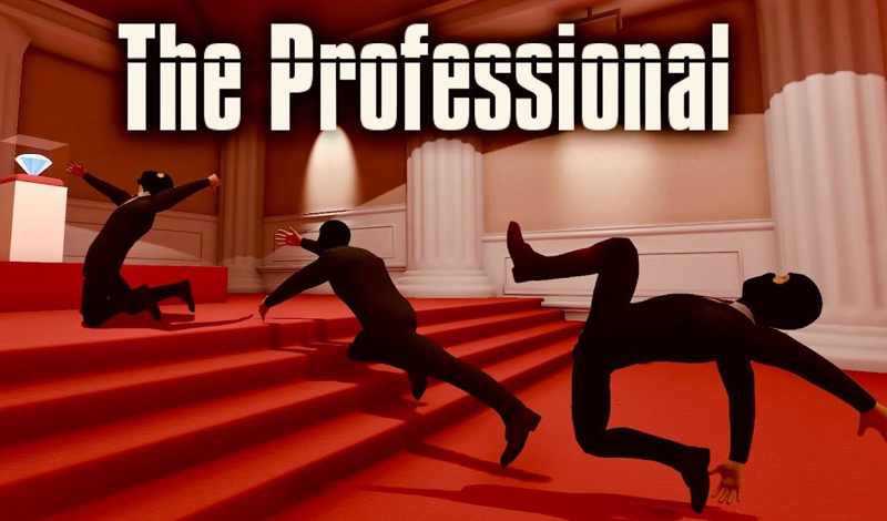The Professional game cover