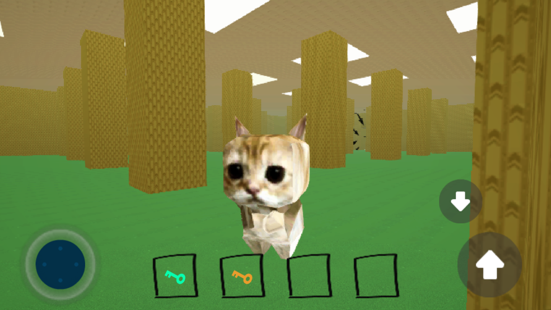 Cat in Backrooms — screenshot 3