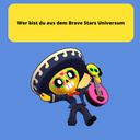 Wer bist du aus dem Brave Stars Universum