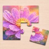 Build the Picture - Mosaic Puzzle