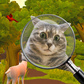 Oyun Hidden Objects 3D: mindfulness test