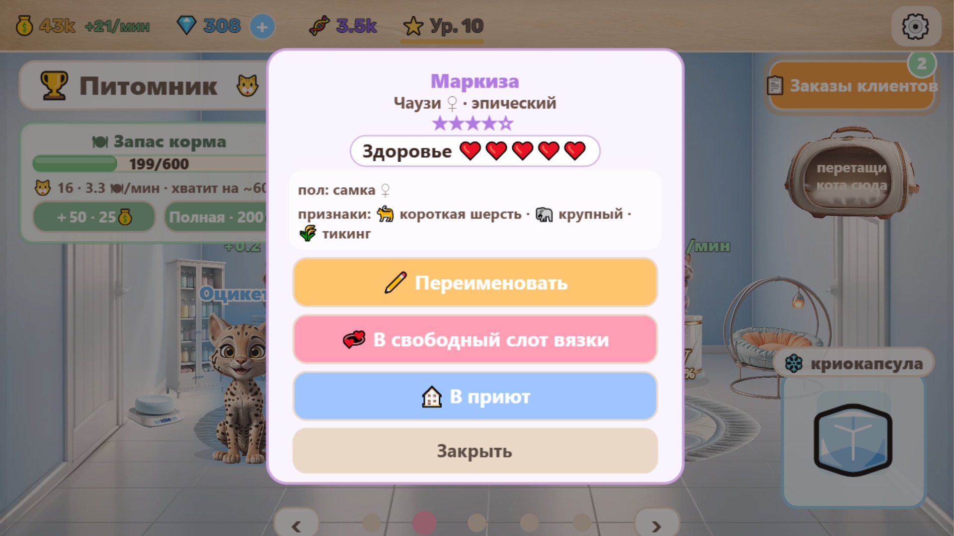 Котолаборатория — screenshot 19