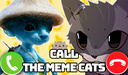 Call the meme cats