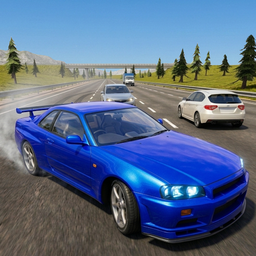 Суета на дороге: Дикие шашки