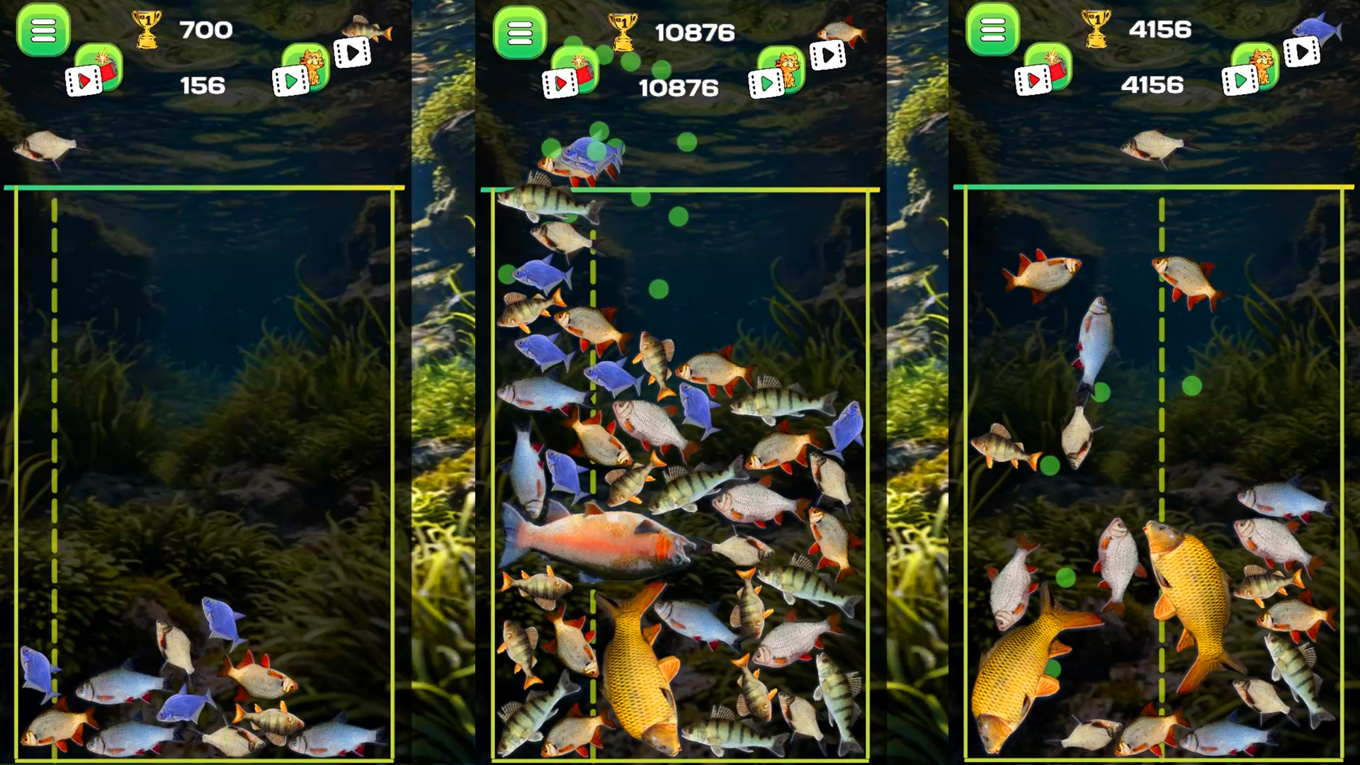 Connect the fish - Reach the Pike screenshot