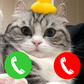 Call the kitties