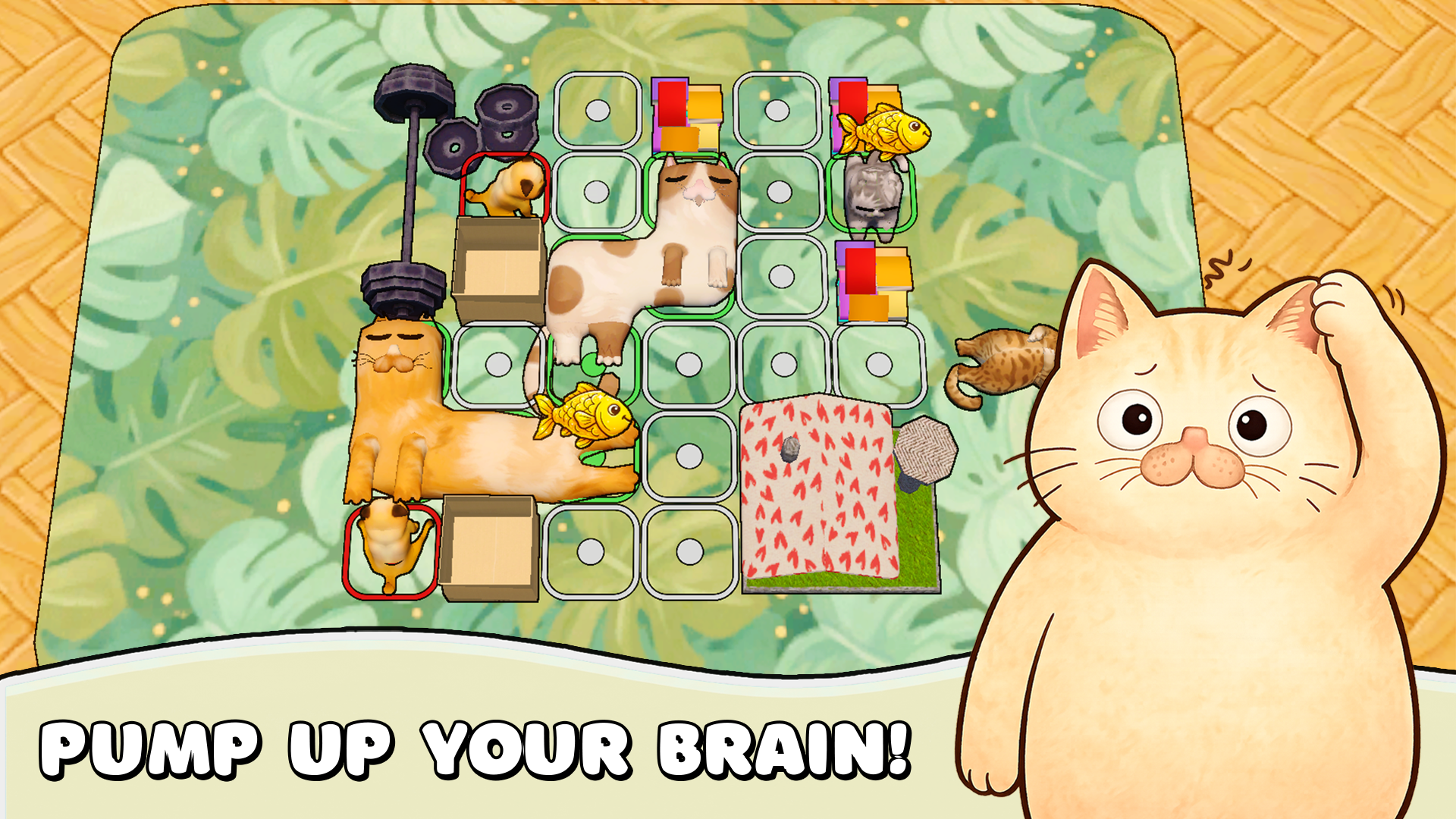 Catomino: Brain Puzzle — screenshot 12