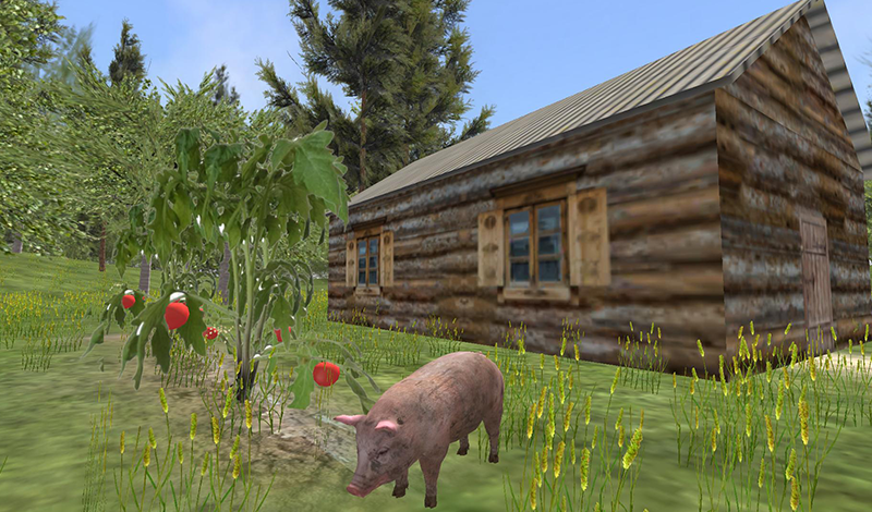 Village Pig Simulator game cover