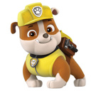 Farklılıkları bul: PAW PATROL