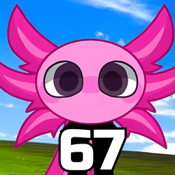 Kinito Pet: Your best friend