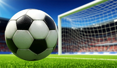 Shoot for the Goal!