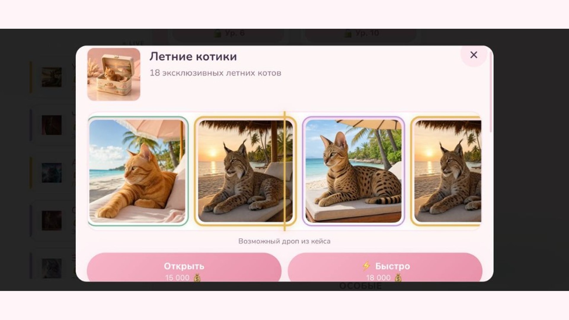CatsCase — screenshot 4