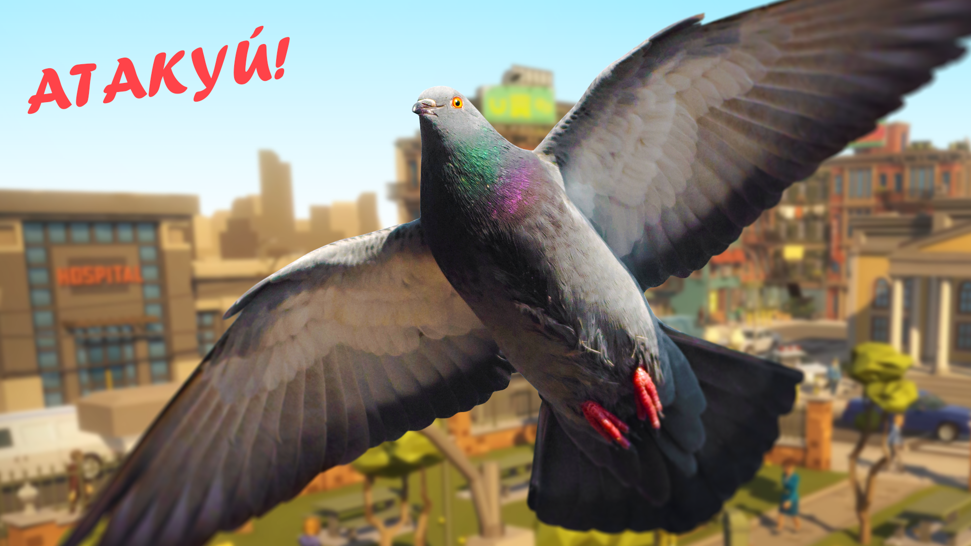 Голубь: Симулятор Птицы — screenshot 15
