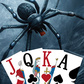 Spider ve Lady Spider Solitaire