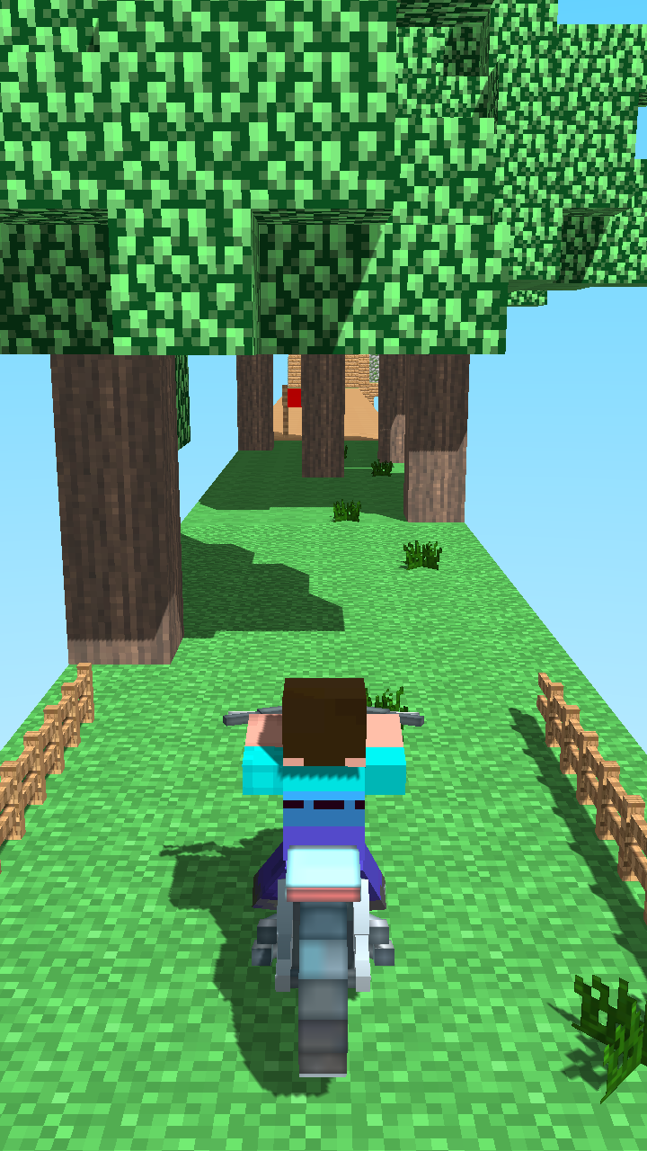 Crazy Motorcycle screenshot 6