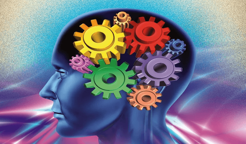 Brain trainers game cover
