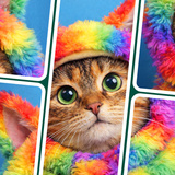 Jigsaw Solitaire