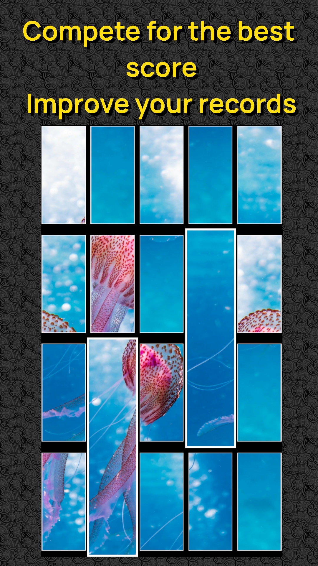 Assemble the Picture: Puzzle screenshot 9