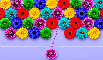 Flower Explosion