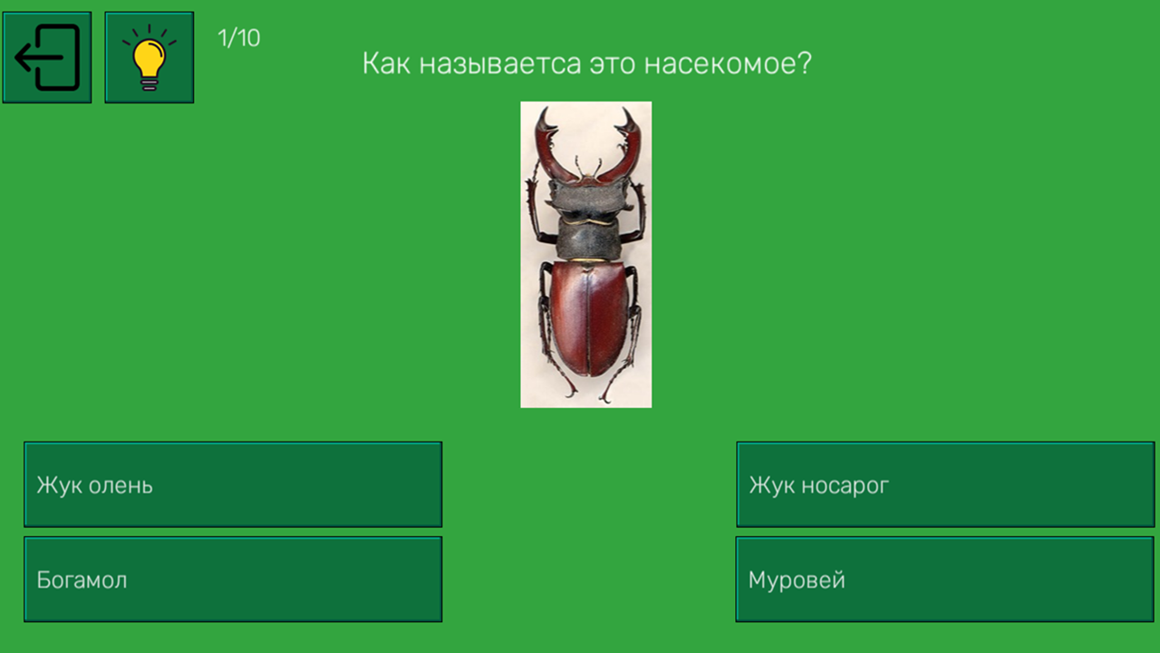 Что это за насекомое? — screenshot 1