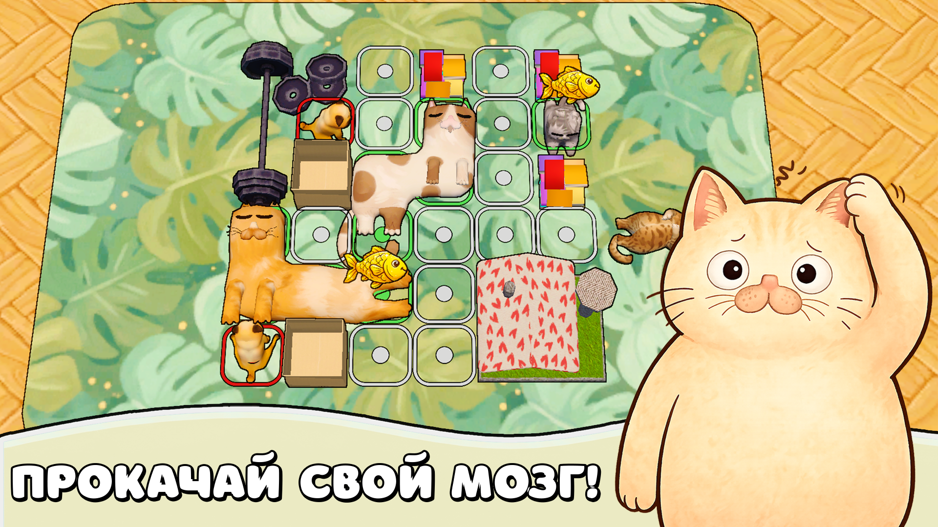 Котомино: Взорви Мозг! — screenshot 12