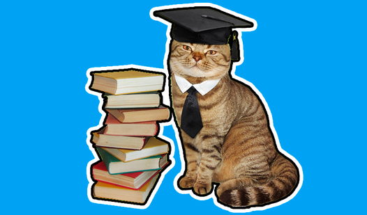 About everything! Super quiz