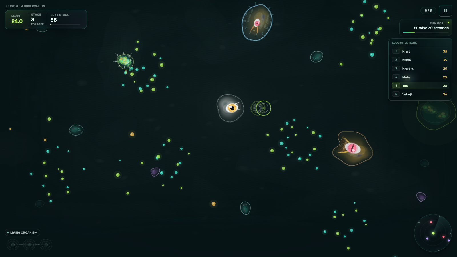 Sporio — screenshot 3