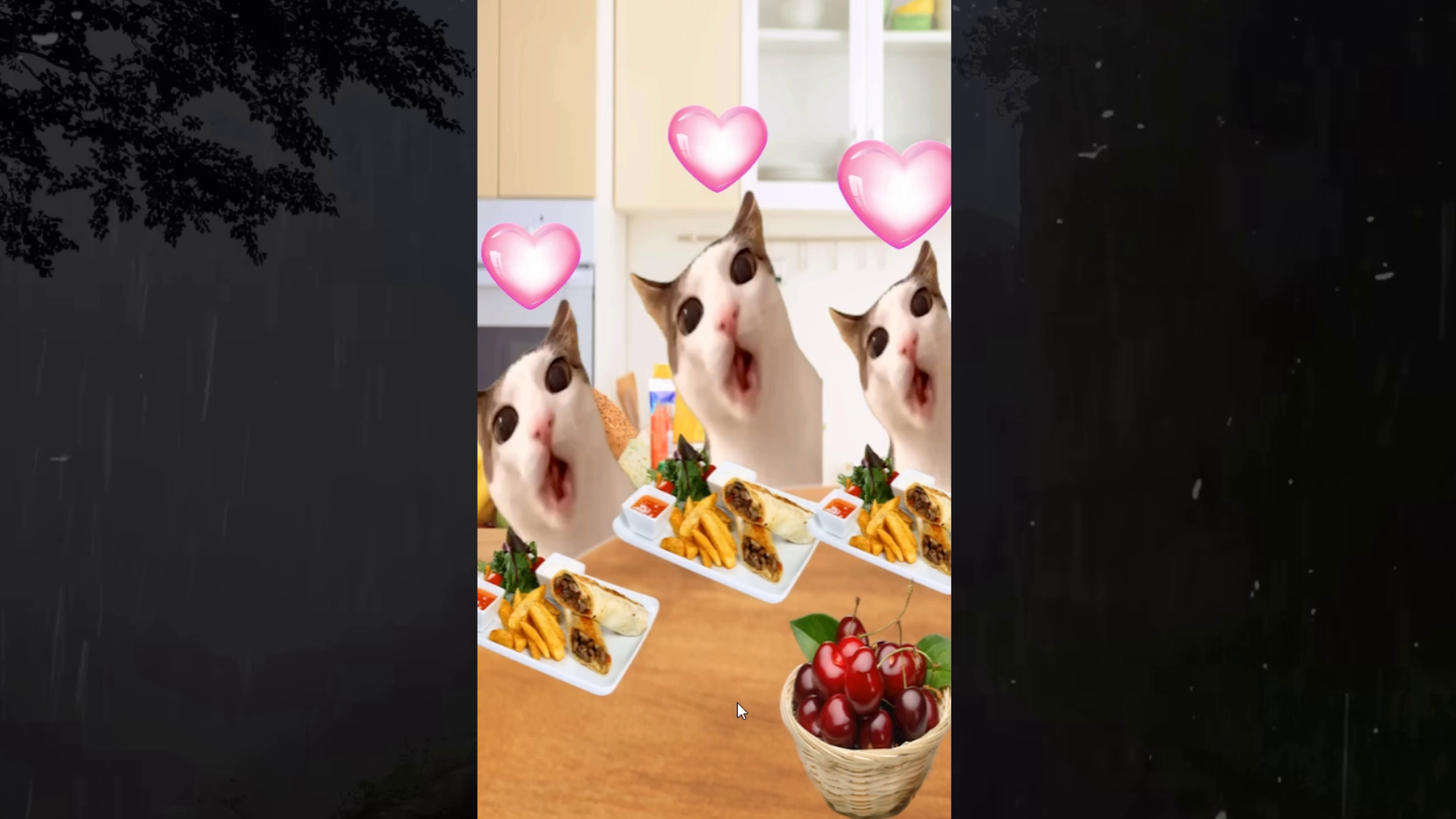 Feed the cats with memes screenshot