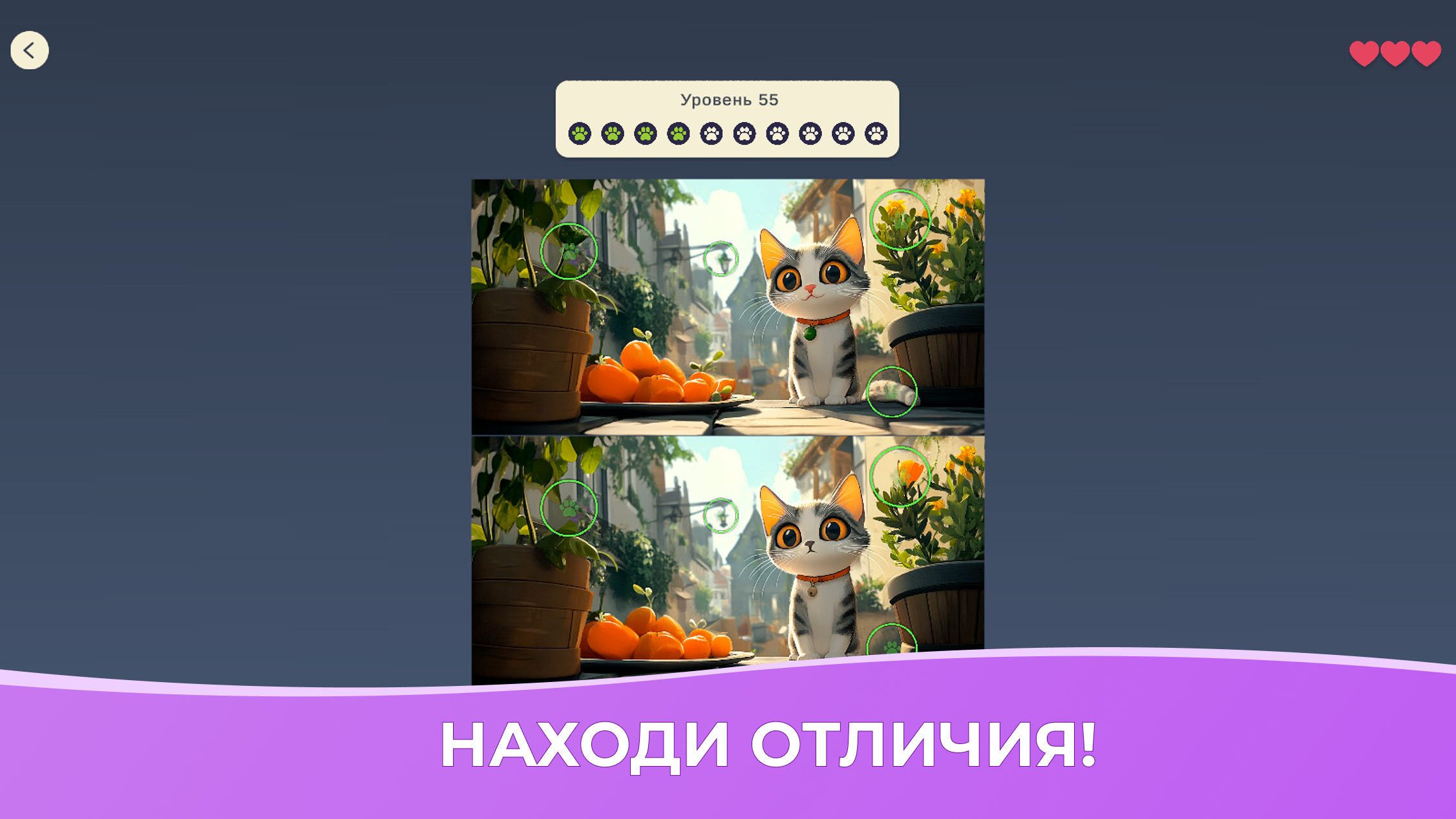 Уютные коты: найди 10 отличий — screenshot 1