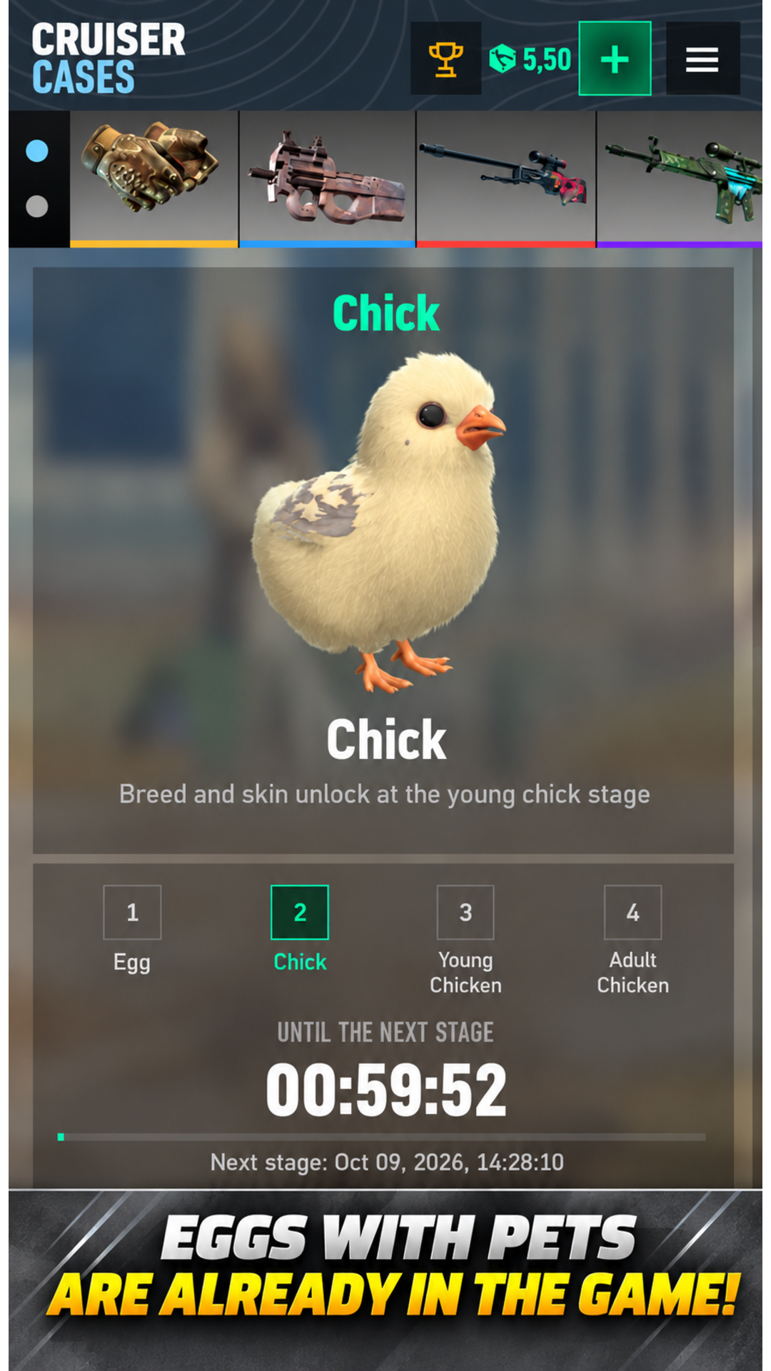 Cruiser Cases screenshot 6