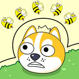 Save the Doge